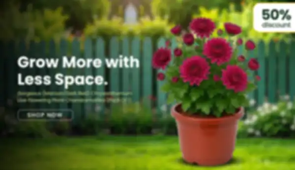 BANNER_undefined__undefined