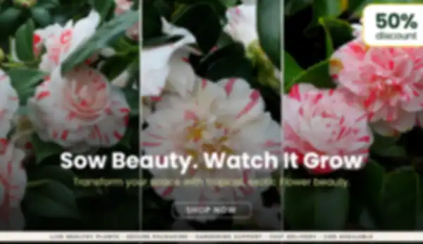 BANNER_undefined__undefined