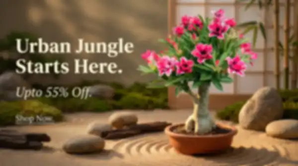 BANNERS_undefined__undefined