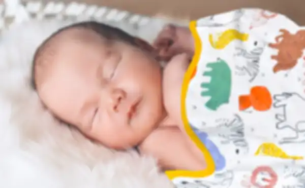 BANNER_undefined__undefined