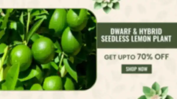 BANNERS_undefined__undefined