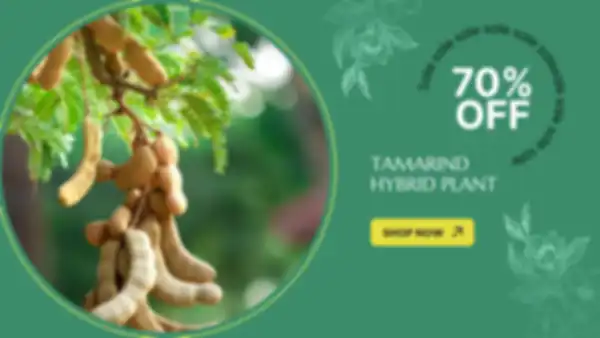 BANNERS_undefined__undefined