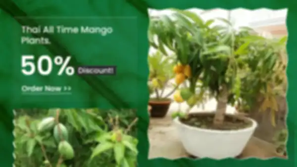BANNERS_undefined__undefined