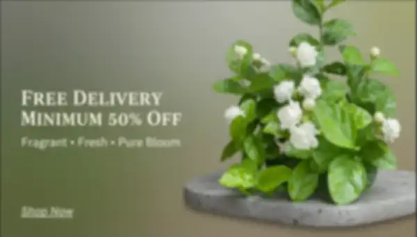 BANNER_undefined__undefined