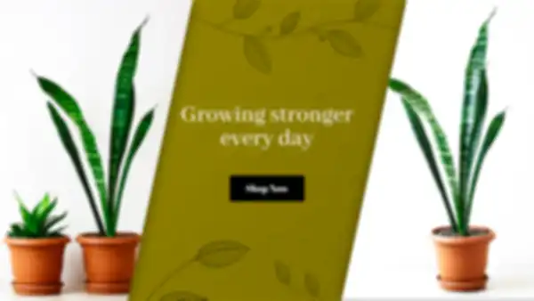 BANNERS_undefined__undefined