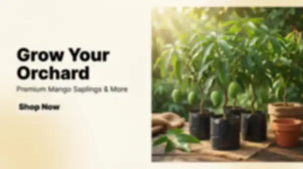 BANNERS_undefined__undefined