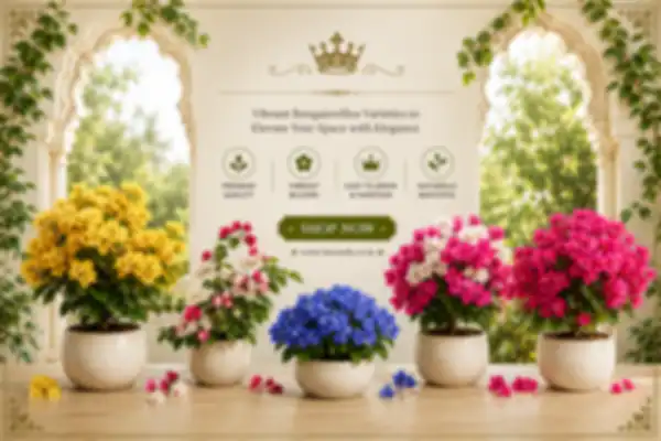 BANNERS_undefined__undefined
