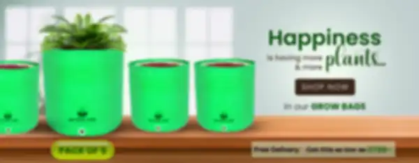 BANNER_undefined__undefined