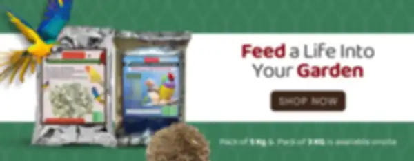 BANNER_undefined__undefined