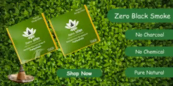 USP_undefined__undefined