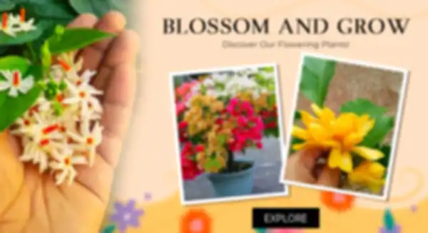 BANNER_undefined__undefined