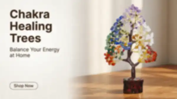 BANNERS_undefined__undefined