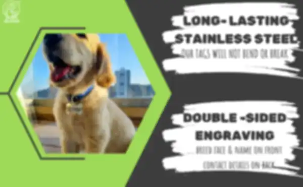 BANNERS_undefined__undefined