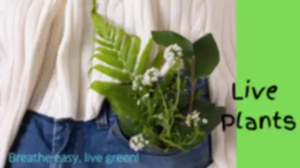 BANNER_undefined__undefined