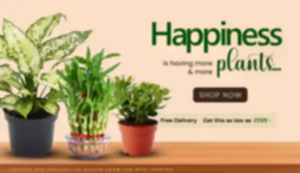 BANNER_undefined__undefined