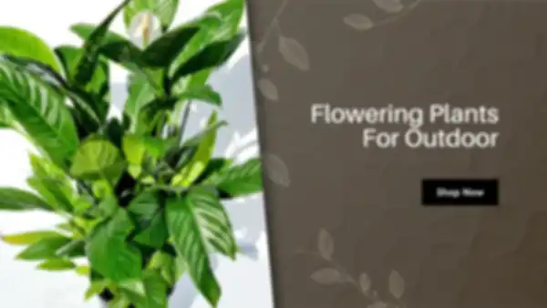 BANNER_undefined__undefined