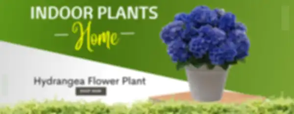 BANNERS_undefined__undefined
