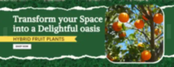 BANNERS_undefined__undefined