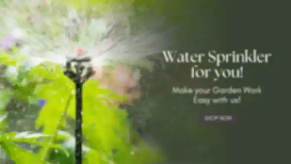 BANNER_undefined__undefined