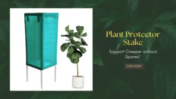 BANNER_undefined__undefined