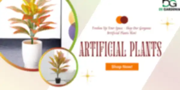 BANNERS_undefined__undefined