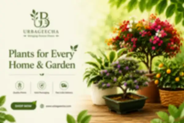 BANNERS_undefined__undefined