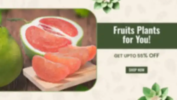 BANNER_undefined__undefined