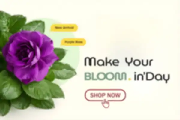 undefined__undefined