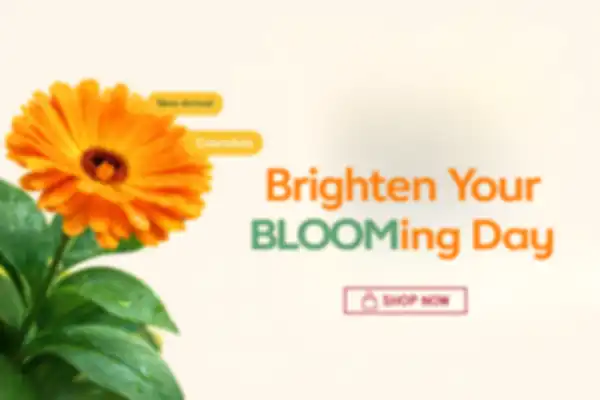 undefined__undefined