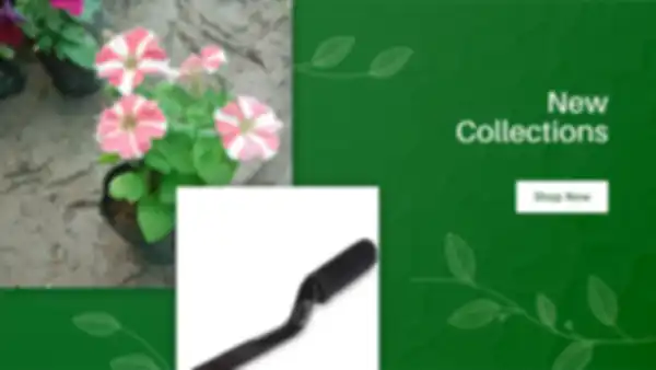 BANNER_undefined__undefined