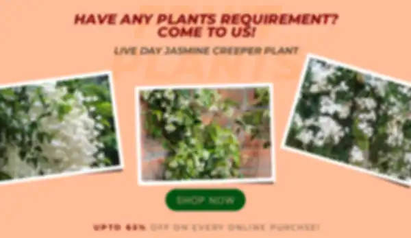 BANNERS_undefined__undefined
