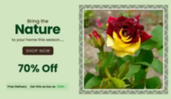 BANNERS_undefined__undefined