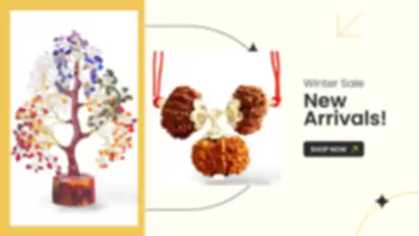 BANNER_undefined__undefined
