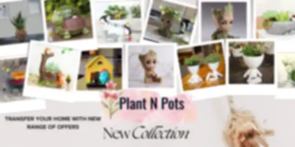 BANNER_undefined__undefined