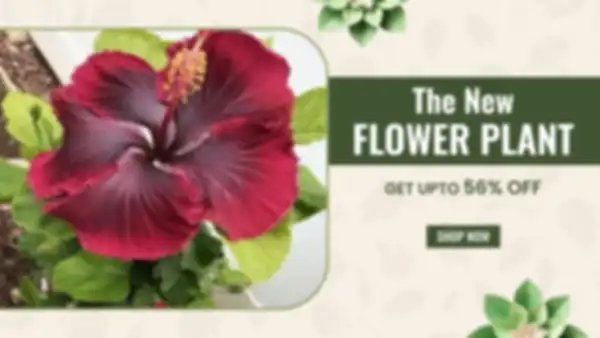 BANNER_undefined__undefined