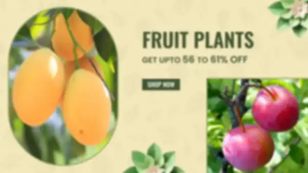 BANNER_undefined__undefined