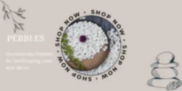 BANNER__undefined__undefined