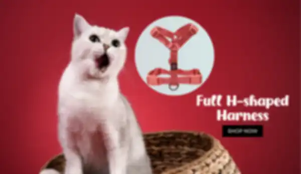 BANNER_undefined__undefined