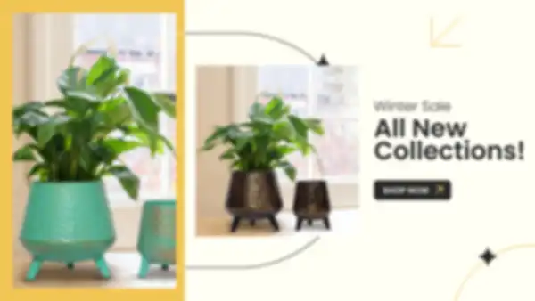 BANNER_undefined__undefined