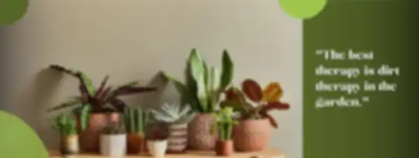 BANNER_undefined__undefined