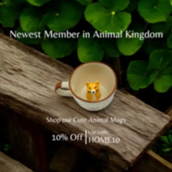 BANNERS_undefined__undefined