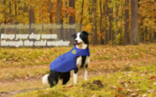 BANNERS_undefined__undefined