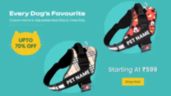 BANNERS_undefined__undefined