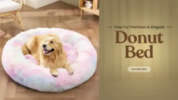 BANNERS_undefined__undefined