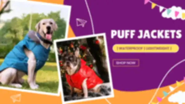 BANNERS_undefined__undefined