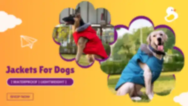 BANNERS_undefined__undefined