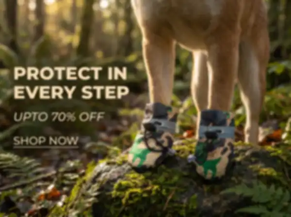 BANNERS_undefined__undefined