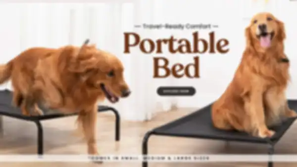 BANNERS_undefined__undefined