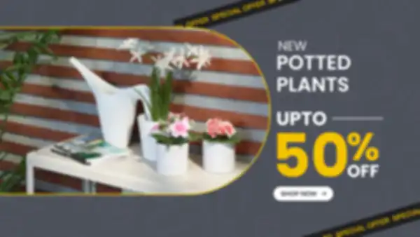 BANNERS_undefined__undefined