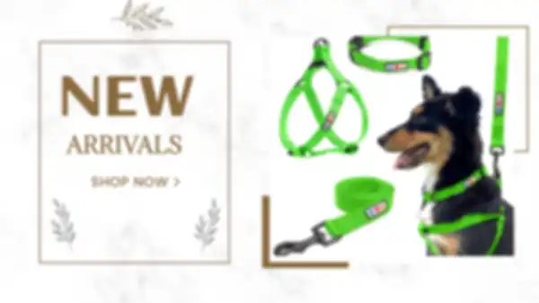 BANNER_undefined__undefined